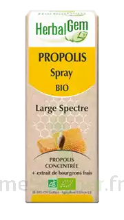 Herbalgem Propolis Large Spectre Solution Buvable Bio Spray/15ml à Puy-en-Velay